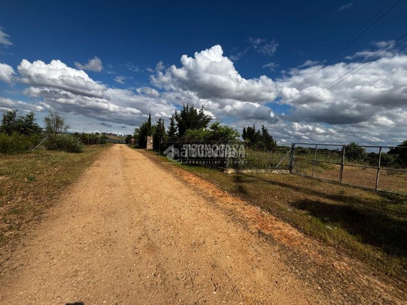 Foto f702f526-9f90-4216-9cc2-5cd20e7463dd. Masia a Carretera de Sevilla - Los Montitos Badajoz