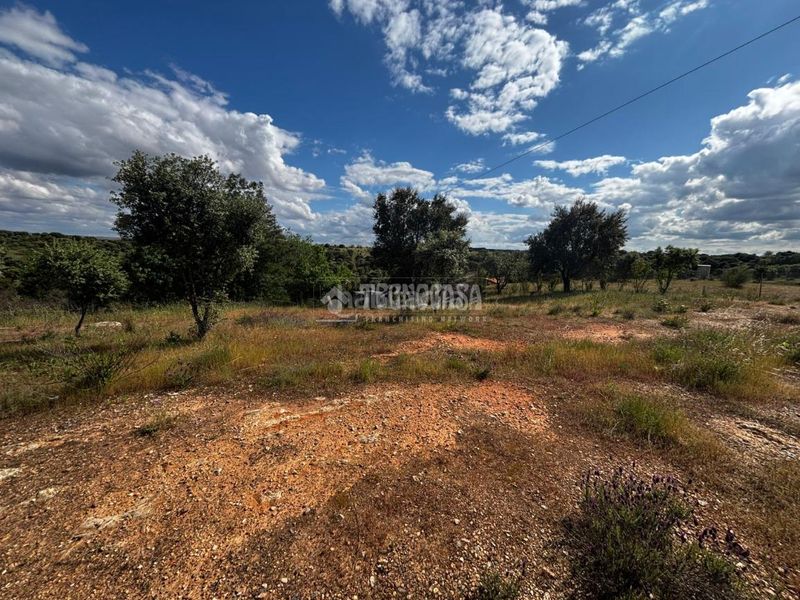 Foto fe786f12-15d8-4135-96a6-de10d4e56cb0. Masia a Carretera de Sevilla - Los Montitos Badajoz