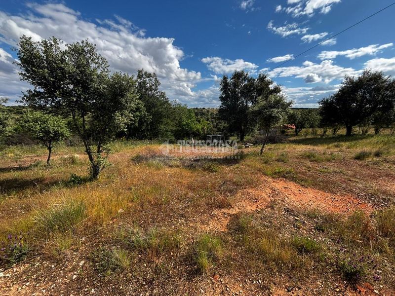 Foto ff55a29a-dad8-4609-be63-bf07ad2f7989. Masia a Carretera de Sevilla - Los Montitos Badajoz