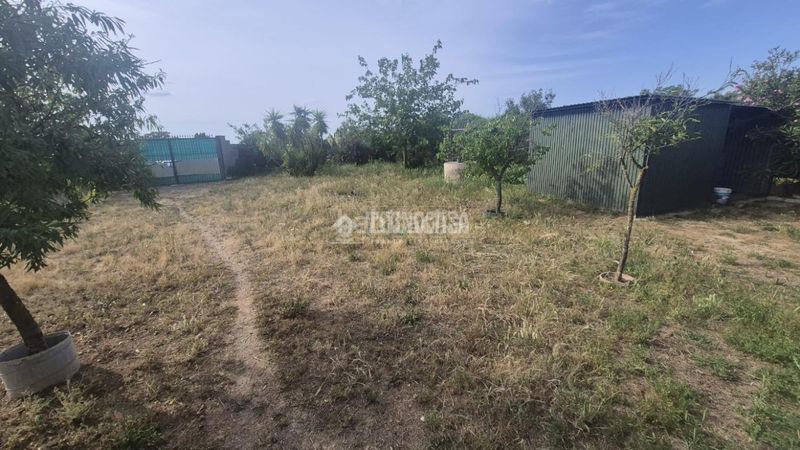 Foto 77f51881-a6a0-407a-a5e2-39609b0ec1d1. Masia amb calefacció a Maria Auxiliadora - Barriada de Llera Badajoz