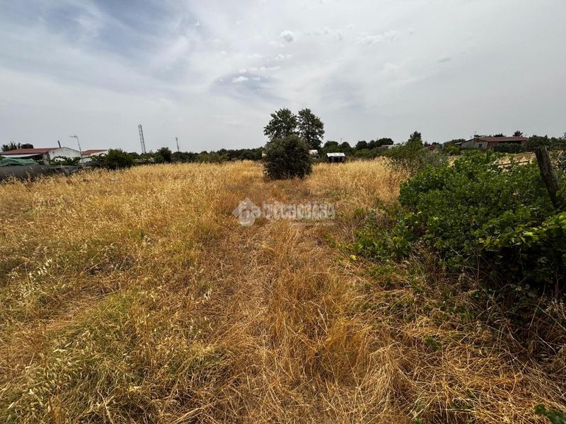 Foto a6e98111-97a0-42e6-a676-40030757829e. Finca rústica a Casco Antiguo Badajoz