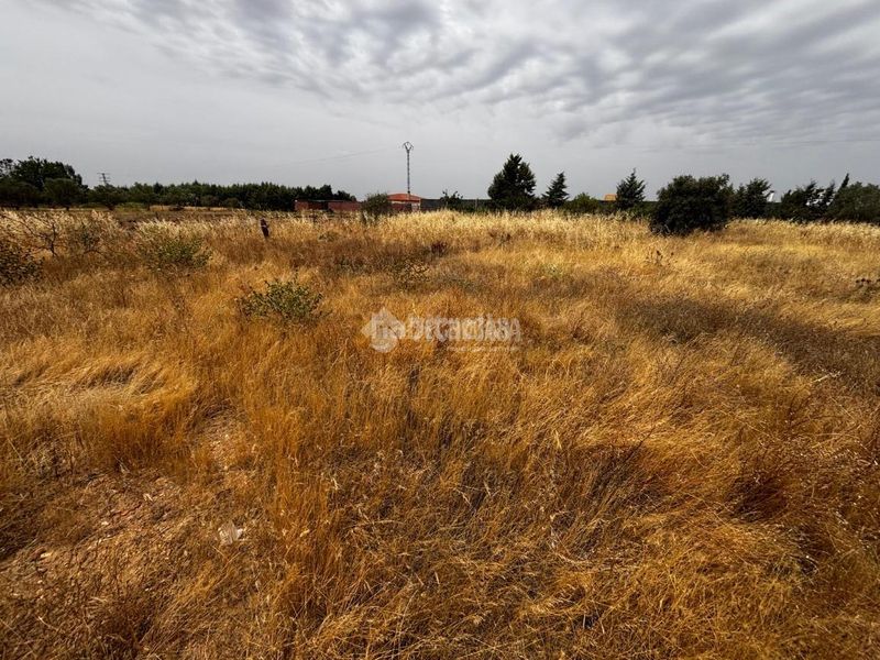 Foto a8437c98-fd68-4d69-9f91-aefbb86031e9. Finca rústica a Casco Antiguo Badajoz