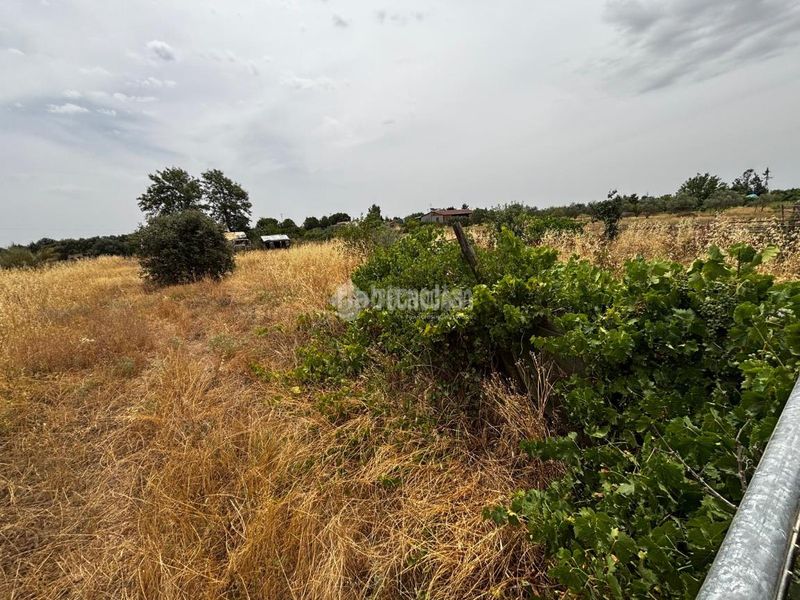 Foto abf5e801-416a-4e86-858e-533822aa2b58. Finca rústica a Casco Antiguo Badajoz