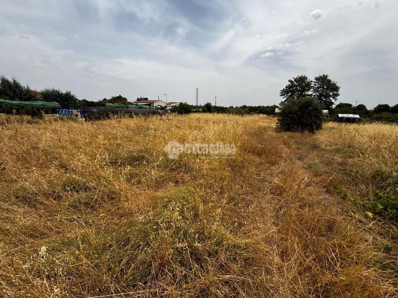 Foto f2e54cbb-6a4a-4224-b94c-8ddc7a71b863. Finca rústica a Casco Antiguo Badajoz