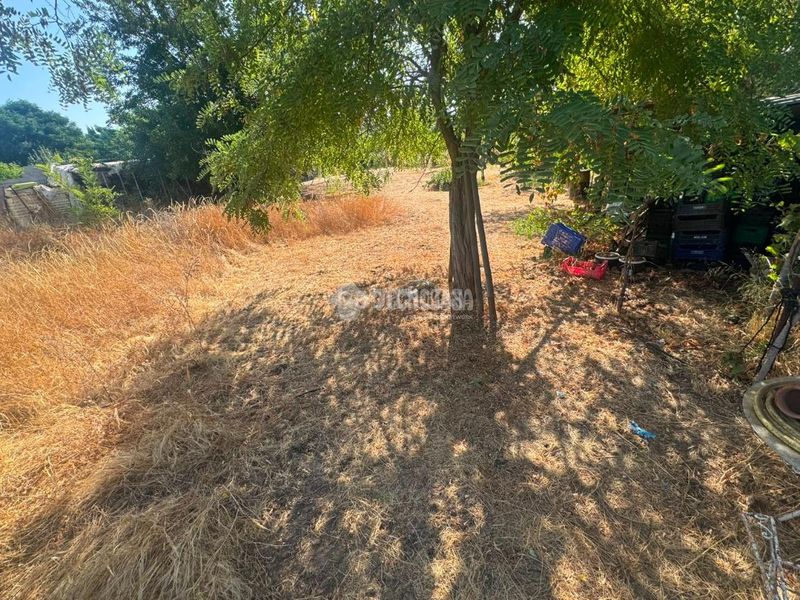 Foto 0e0ee57a-0f63-4b38-a981-7e8c804fd7a8. Finca rústica a Las Vaguadas Badajoz