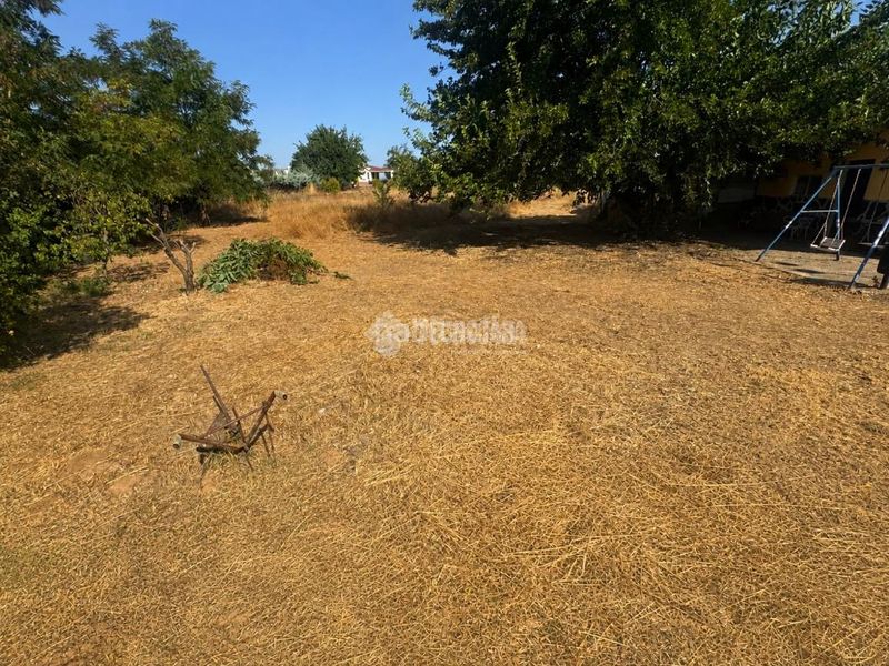 Foto 3b228cc4-1a6b-4436-a4de-3f7b768f846e. Finca rústica a Las Vaguadas Badajoz