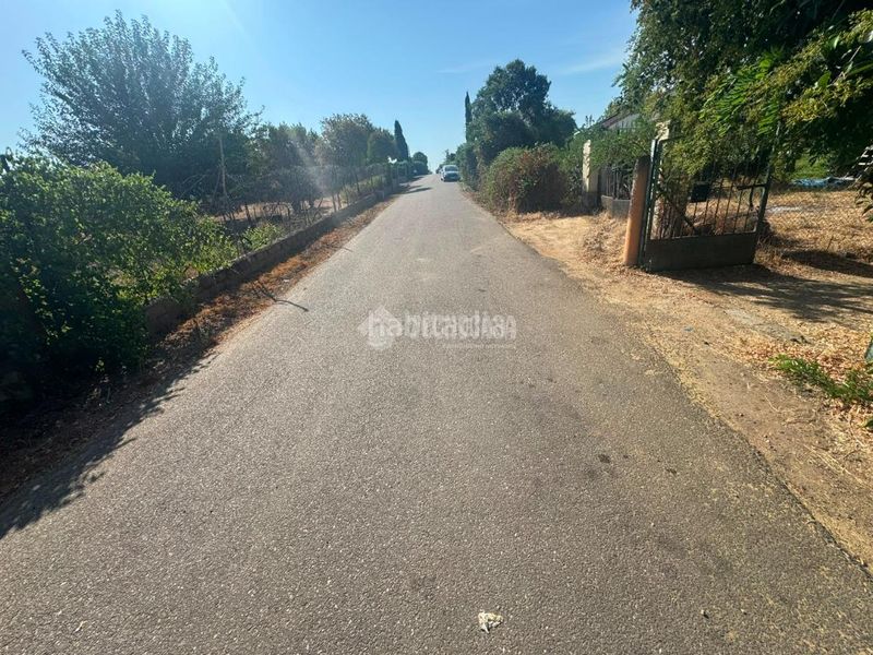 Foto 5db410e2-0ea1-43cb-b710-33e2f8d08230. Finca rústica a Las Vaguadas Badajoz