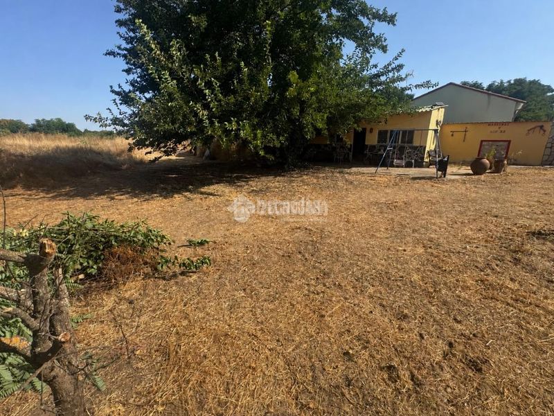 Foto ae8dd152-b6c7-4a77-a081-1152848f1982. Finca rústica a Las Vaguadas Badajoz