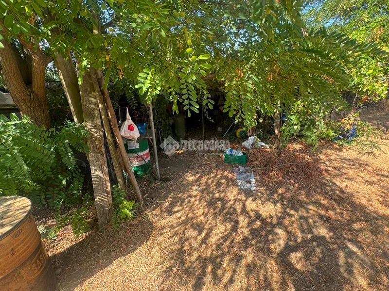 Foto c2b583e3-29a7-4bee-b7c3-a8387c573e83. Finca rústica a Las Vaguadas Badajoz