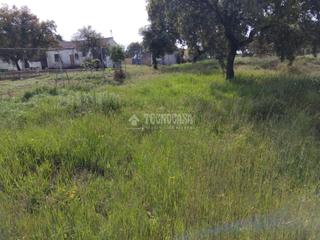 Finca rústica a Las Vaguadas. Terrenos en venta en badajoz