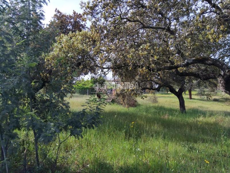 Foto 26639851-c578-4a23-a0f6-4918a579e8ef. Finca rústica a Las Vaguadas Badajoz