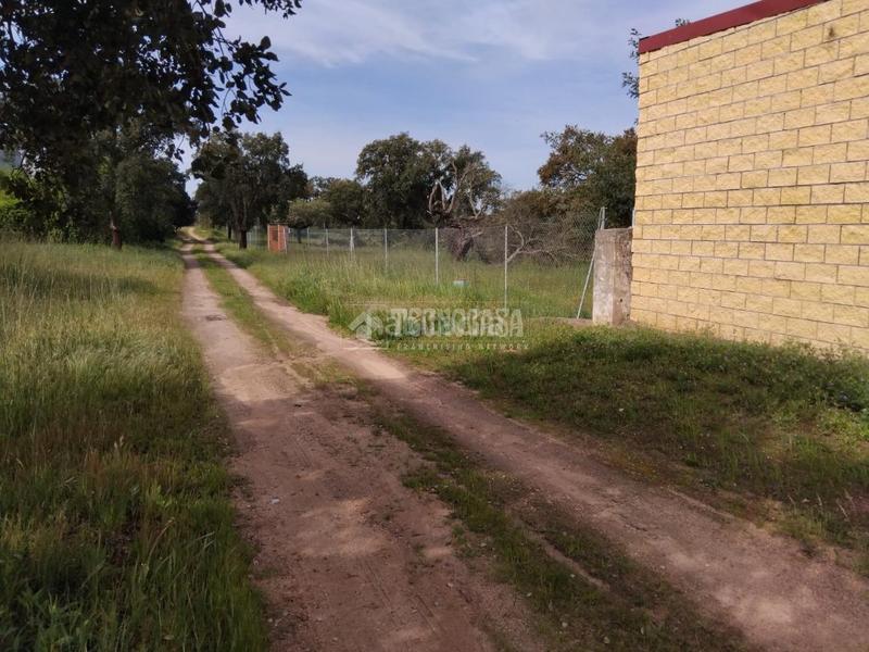 Foto 5c2fea6f-c103-4631-8328-1c650661fe1c. Finca rústica a Las Vaguadas Badajoz