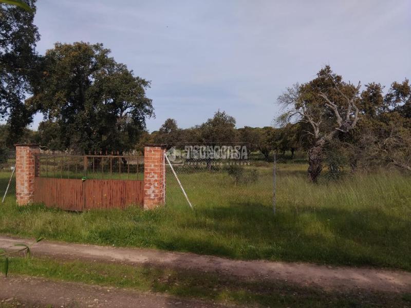 Foto 839e9dee-4e24-425a-ac52-b75322273be6. Finca rústica a Las Vaguadas Badajoz