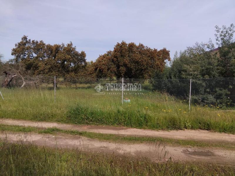 Foto 8bf12a25-fe3c-429e-a692-9d518260cda8. Finca rústica a Las Vaguadas Badajoz