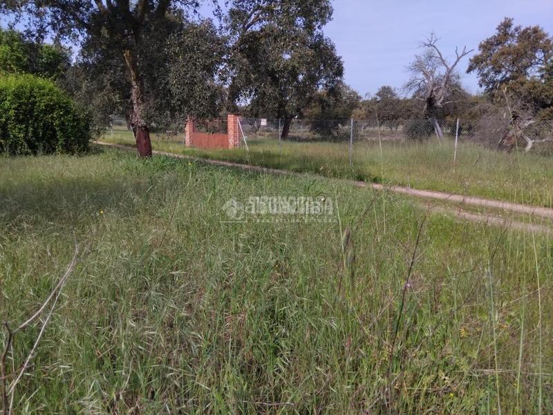 Foto 9947c08f-1ede-4ba5-8fc3-e42afbb87475. Finca rústica a Las Vaguadas Badajoz