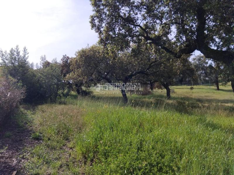 Foto be09af4e-dcae-485d-b7b5-3123b312b433. Finca rústica a Las Vaguadas Badajoz