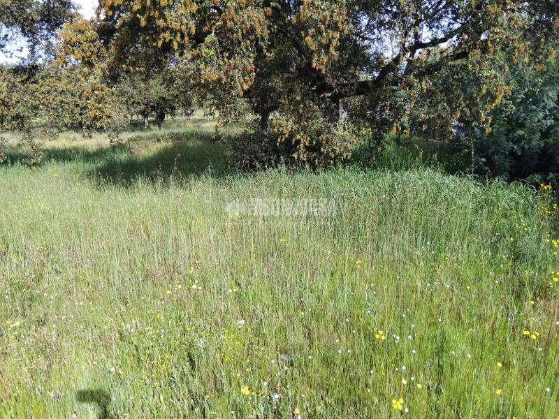 Foto f4f7bc9d-59bb-4159-91fa-f8a95c574e0c. Finca rústica a Las Vaguadas Badajoz