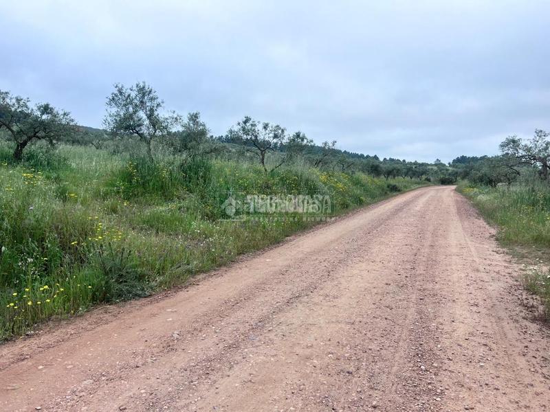 Foto 0104e831-eef5-4911-be5c-24ceeeaf22ee. Bauernhof in Puebla de Obando