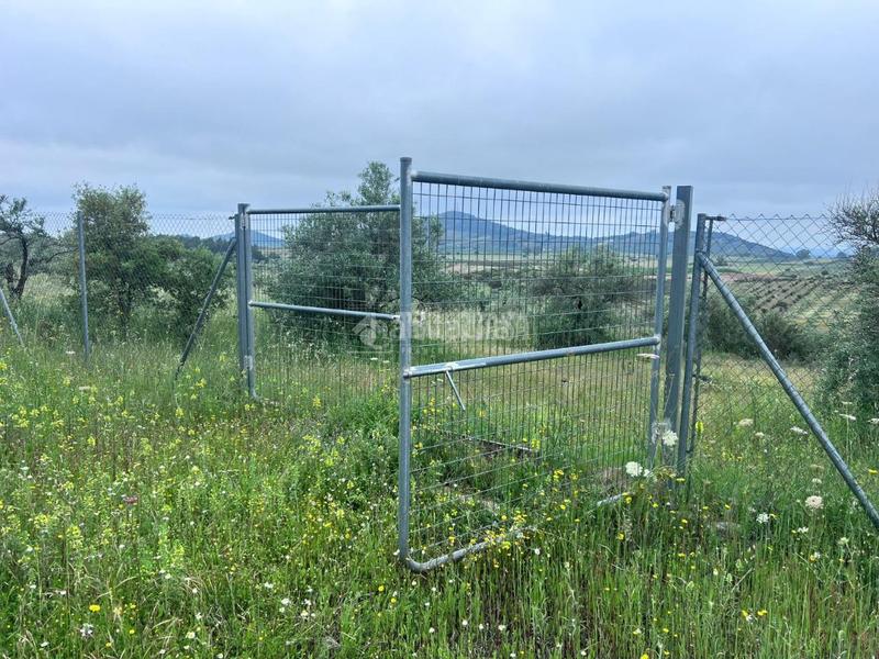 Foto 0d6f459b-75cc-49ab-a79a-ba03002d7e8f. Bauernhof in Puebla de Obando