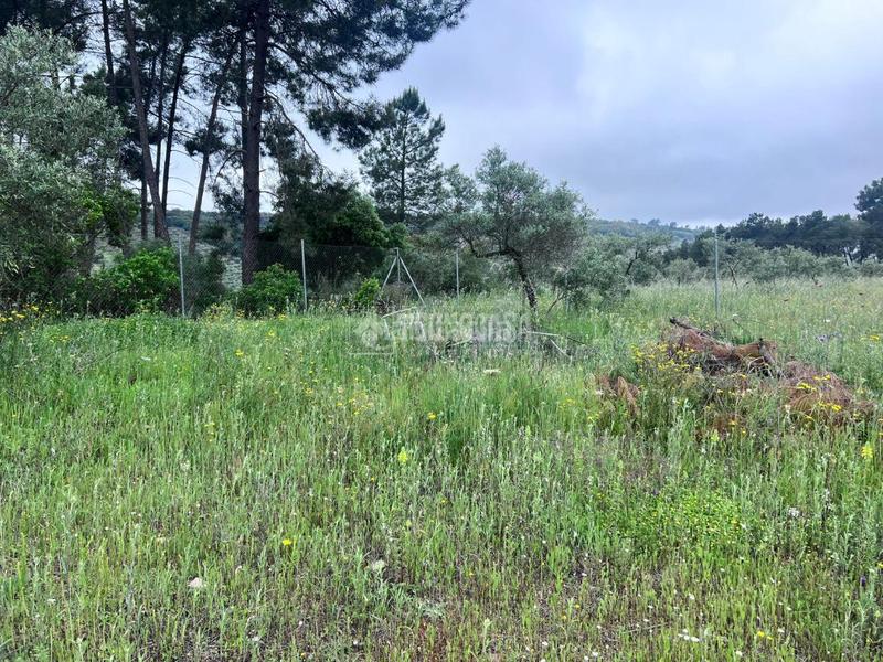 Foto 7c685ce4-6830-45da-9845-f48a81654a8d. Bauernhof in Puebla de Obando