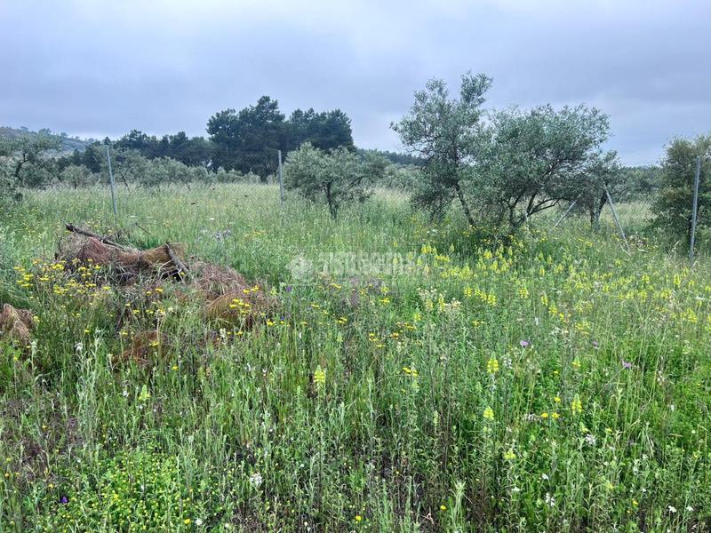 Foto e5d9c956-7936-401a-a83b-4a006d209915. Bauernhof in Puebla de Obando