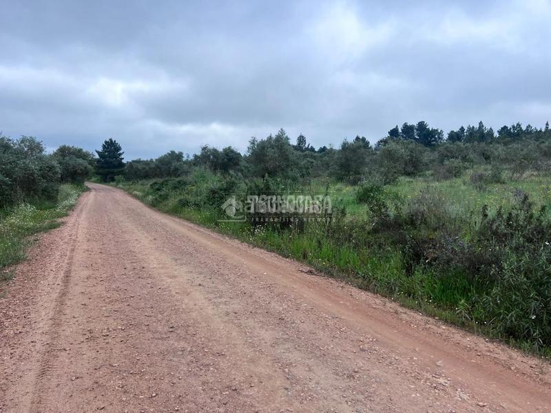 Foto f926dcaa-d0da-4c7b-8361-5b97075d5857. Bauernhof in Puebla de Obando