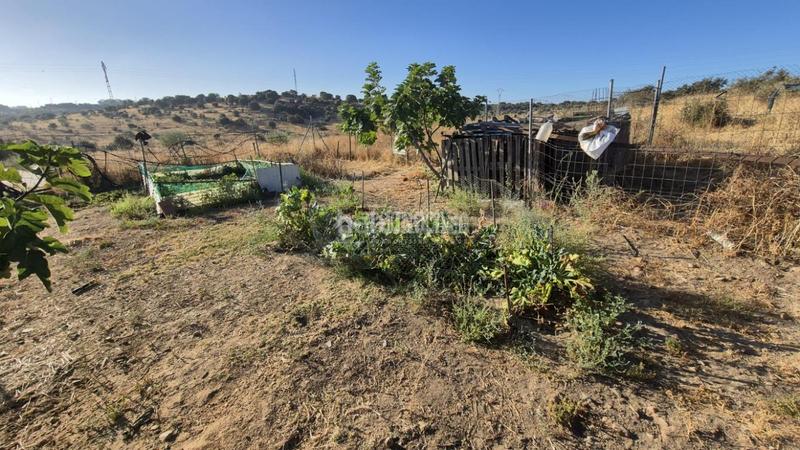 Foto b56568d7-8e14-4600-b2fd-663fca91e02f. Mas avec piscine dans Casco Antiguo Badajoz
