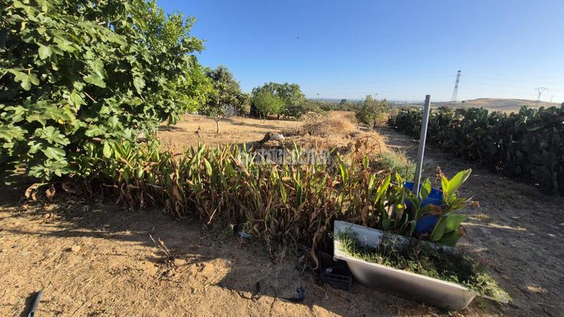 Foto da9975bc-cce8-4f42-866b-3c9e95f68006. Mas avec piscine dans Casco Antiguo Badajoz