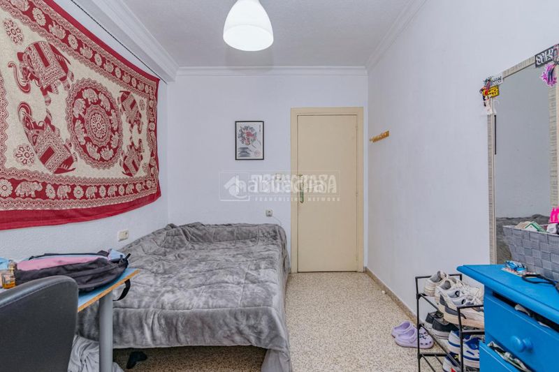 Foto 1fdf0e90-768b-46a7-8de1-5ad9e19d7d76. Pis a San Ildefonso Granada
