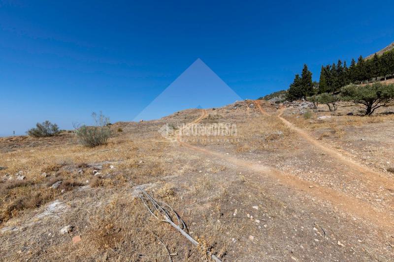 Foto 0276897f-8204-41f5-8c49-e032b7f926de. Finca rústica terrenos en venta en Alfacar