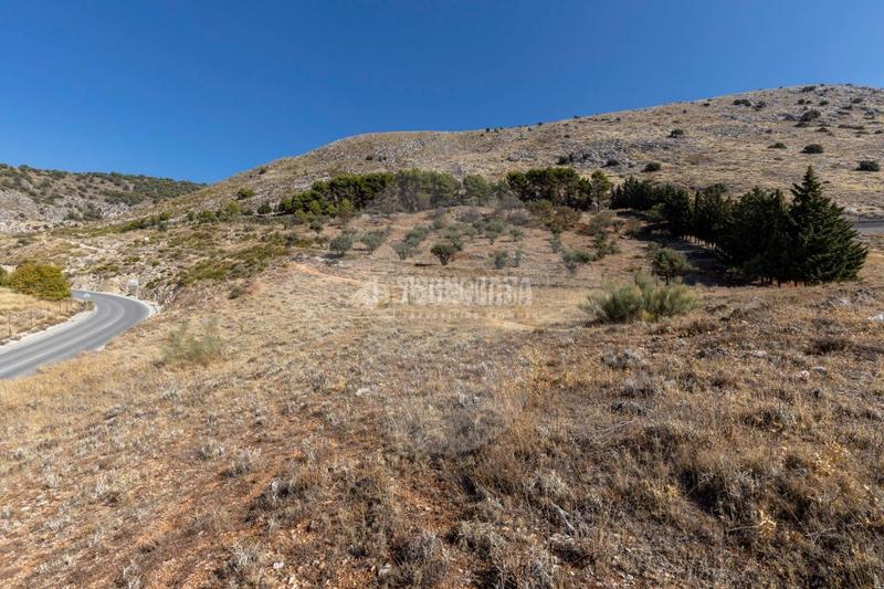 Foto 04ca85b0-a53b-408a-8cdb-adfee0de1d4c. Finca rústica terrenos en venta en Alfacar