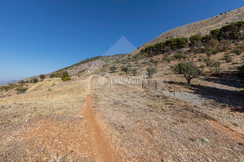 Foto 4c789e27-ca9b-4013-a1e2-0d831fe6a9f1. Finca rústica terrenos en venta en Alfacar