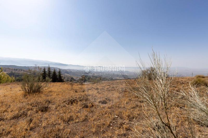 Foto 59abfea2-c060-4929-8c63-455373a3eec4. Finca rústica terrenos en venta en Alfacar
