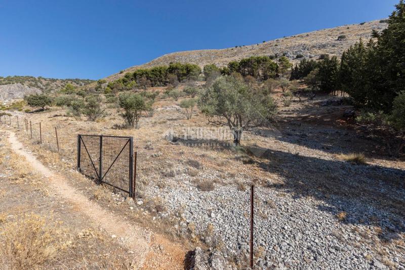Foto 66eb19fb-cfa8-4505-92f7-d38ab8664253. Finca rústica terrenos en venta en Alfacar