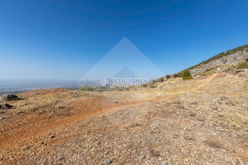 Foto 87f3080d-e1fe-4c12-815d-b229a411d3a7. Finca rústica terrenos en venta en Alfacar