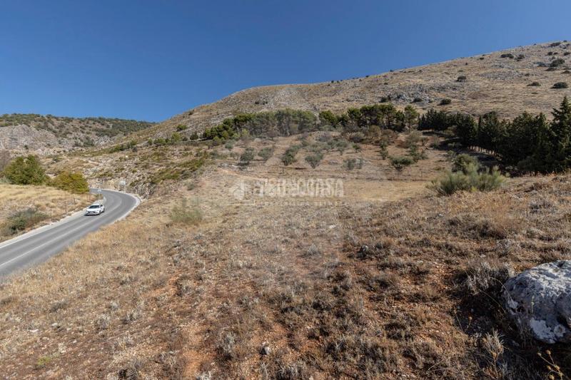 Foto ec261397-545f-49d9-870e-e62513b2539a. Finca rústica terrenos en venta en Alfacar