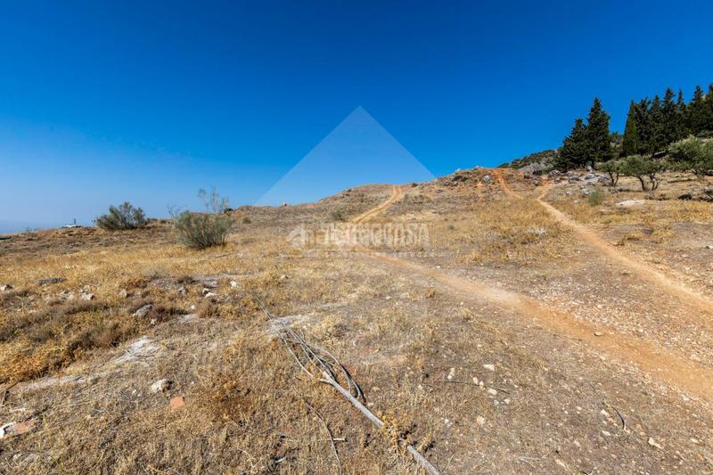 Foto ff4dedac-6ee2-45fc-af09-eb5708f5a5b7. Finca rústica terrenos en venta en Alfacar