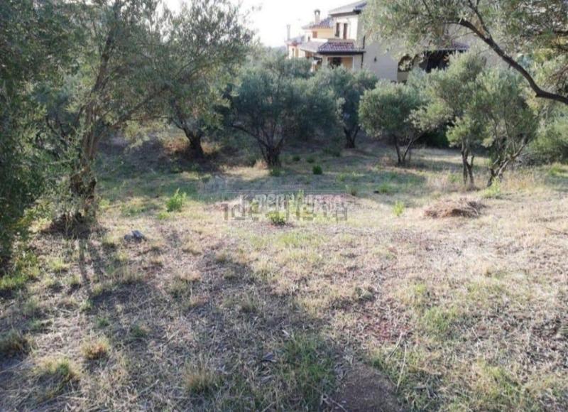 Foto 1ebc6209-4213-4e37-adb9-6f6866523c8f. Terrain résidentiel dans Nívar