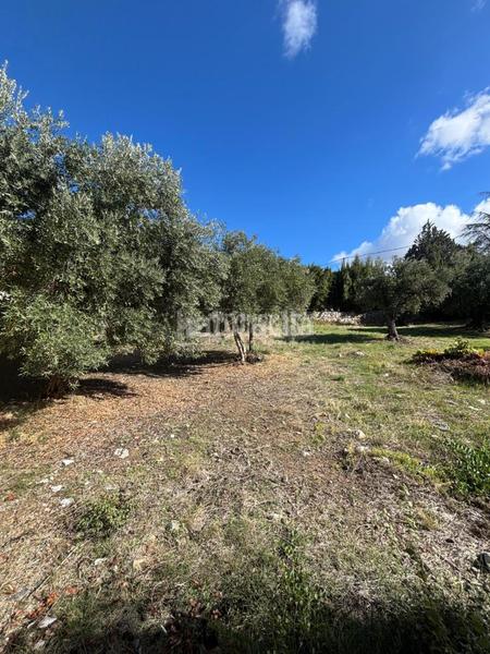 Foto 991d462d-e209-4b1b-9091-bcbb0ee2f519. Terreno residenziale in Huétor de Santillán