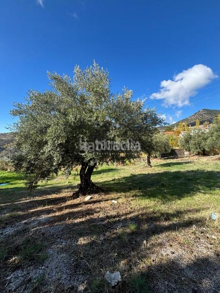 Foto cef56b0d-dd6a-4dc3-b142-1d73bad152bd. Terreno residenziale in Huétor de Santillán