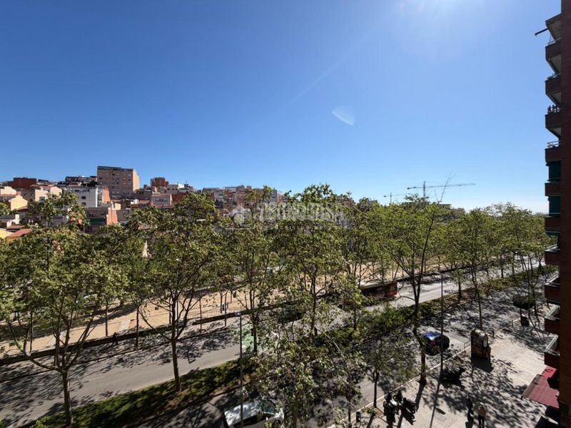 Foto a83959a3-09c6-4d38-96dc-56b9f116906f. Pis a Lloreda Badalona