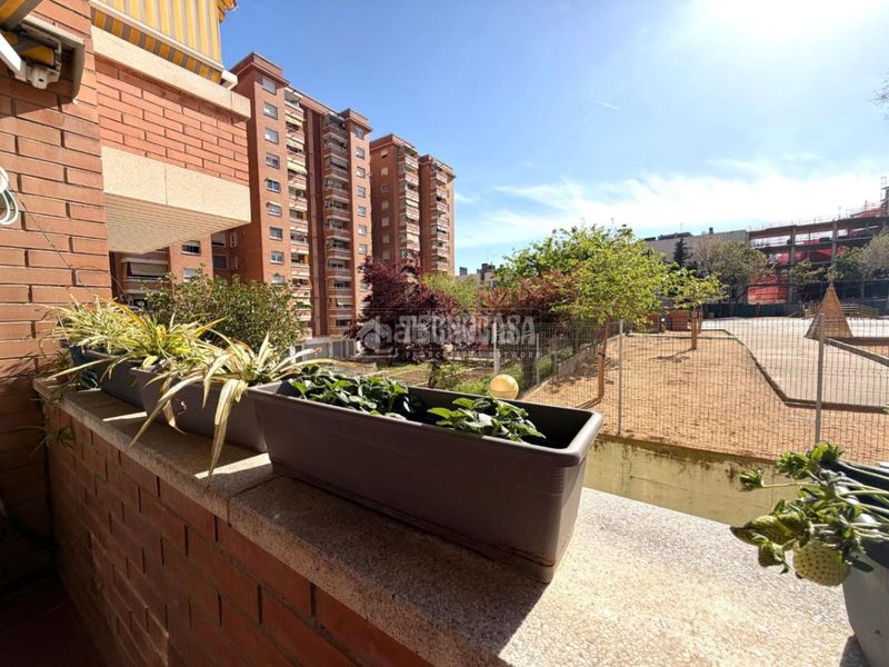 Foto 63b1d819-e564-462f-89c6-5d27e9428c38. Pis a Lloreda Badalona