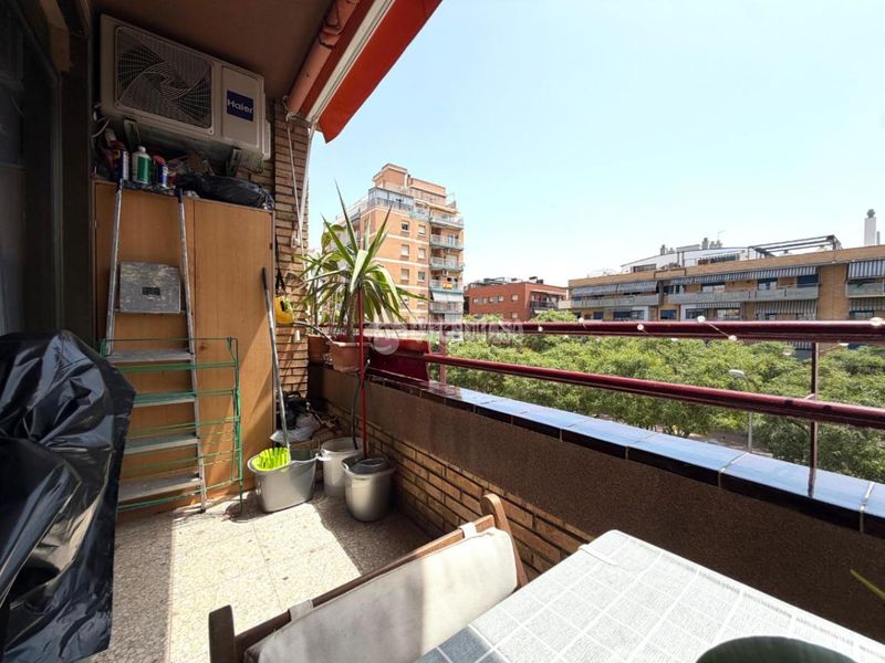 Foto adbeb32f-c4d0-4523-8335-6afe6d264a1b. Pis a Gorg Badalona