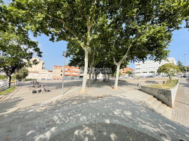 Foto 2bf18f3b-985b-4493-9d28-b6496f69868e. Pis a Lloreda Badalona