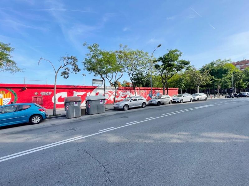 Foto 343490b5-5744-44c8-b462-1cd4ef1f4abd. Pis a Lloreda Badalona