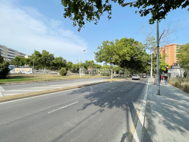 Foto 650c95bd-aa16-42a3-858e-6a4b63822690. Pis a Lloreda Badalona