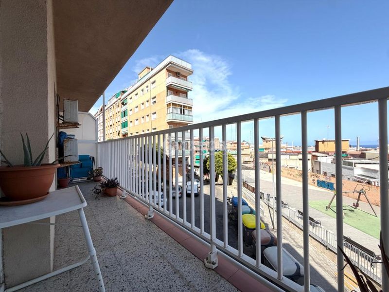Foto d666f1ac-278a-4b30-b8b6-4533db8938ae. Pis a Sant Crist Badalona