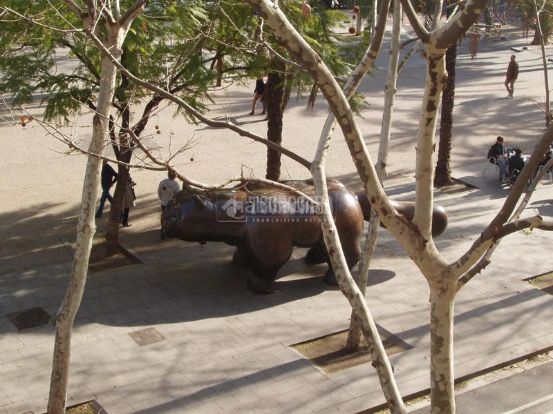 Foto 5863a206-fc7d-4109-8199-862ea8fdd7bb. Pis amb calefacció a Raval Barcelona