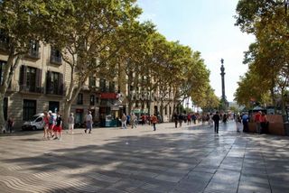 Local Comercial a Raval. Local comercial en venta en barcelona