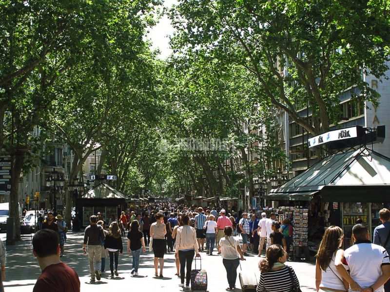 Foto c34a4db2-1c92-424a-b79c-6f433d10e740. Local comercial amb calefacció a Raval Barcelona